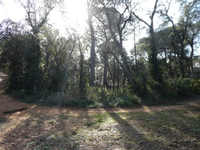 Croisement après Gros / Petit 2