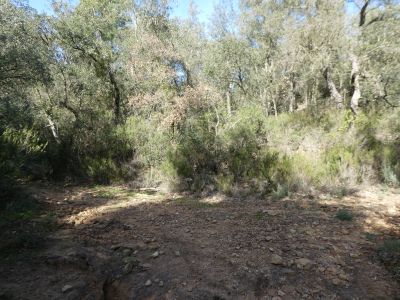 Croisement après Gros / Petit 4