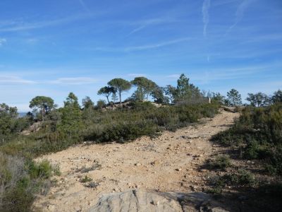 Croisement après Petit