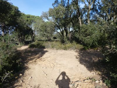 Croisement après Petit 2