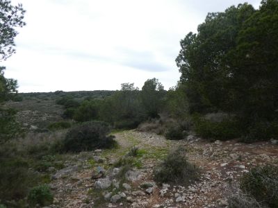 Croisement après Falaguer