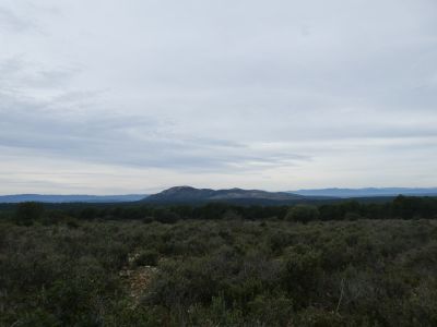 Vue Muntanya Montgrí