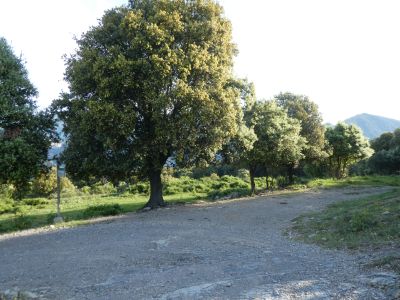 Croisement Pruneres 2