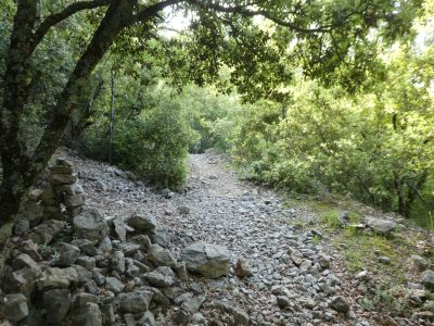Croisement sentier Grau