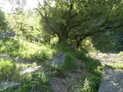 Croisement Mare Escales
