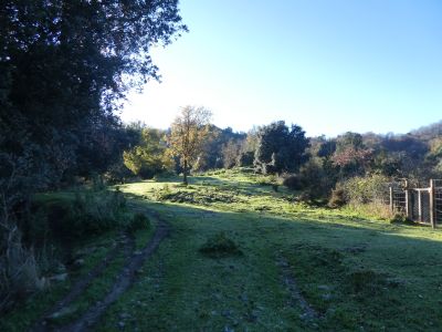 Croisement après Pruit