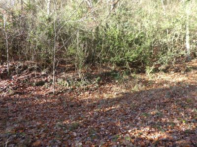 Croisement montée Aiats