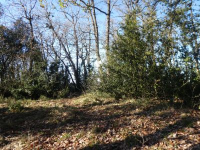 Croisement montée Aiats 2