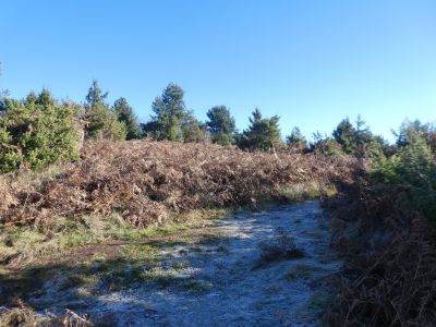 Croisement montée Aiats 3