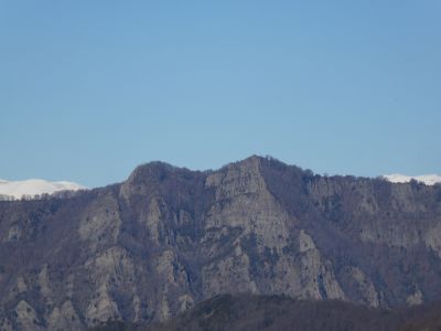 Vue Puigsacalm