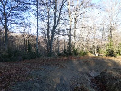 Croisement après Saiols