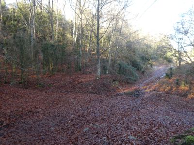 Croisement après Soques