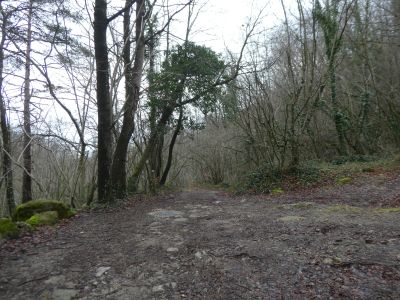 Croisement sentier Escales