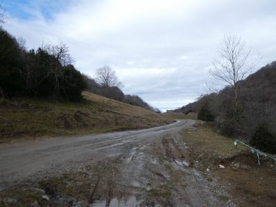 Croisement Falgueres