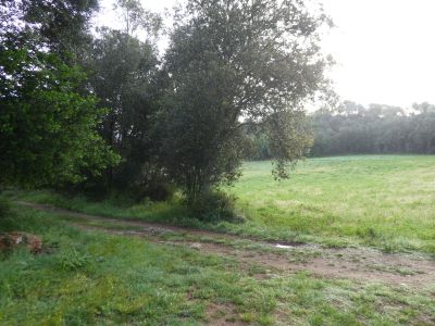 Croisement Ermites 2