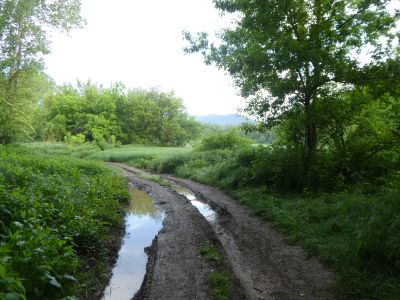 Croisement après Ermites 2