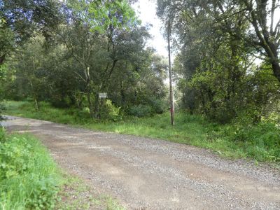 Croisement Reclosa 2