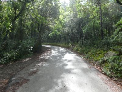 Carretera Magdalena