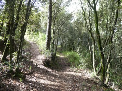 Croisement montée sommet 2