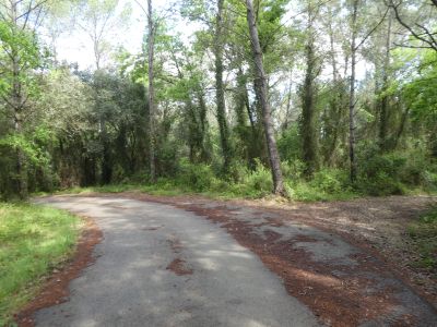 Croisement descente 2