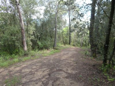 Croisement descente 3