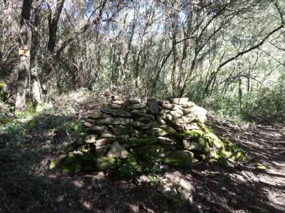 Vue Cabana Carboners