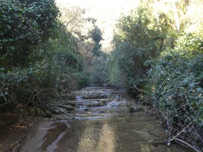 Vue Riera Rocacorba 2