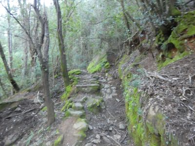 Croisement Escaleta 3