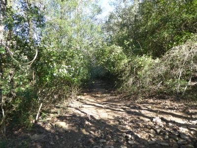 Croisement après Replans