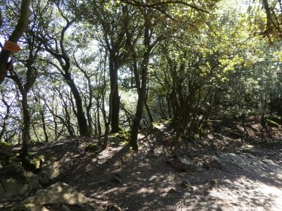 Croisement Pujant Llancers