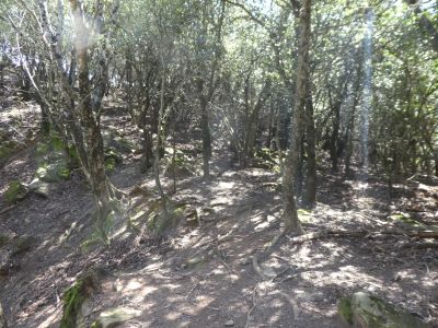 Croisement Pujant Badia