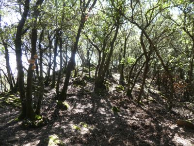 Croisement après Pujant Badia