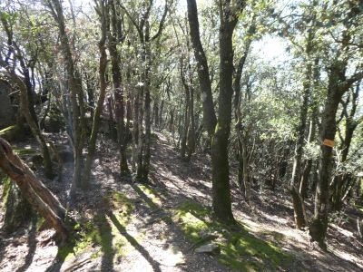 Croisement après Mascaró