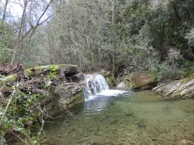 Vue Riera Rocacorba 4