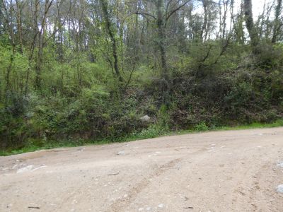Croisement après Polo