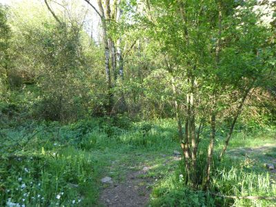 Croisement après Sala