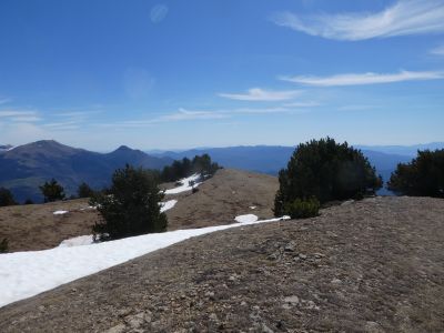 Descente Covil
