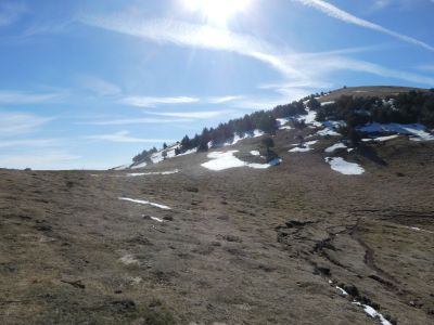Coll Remoló