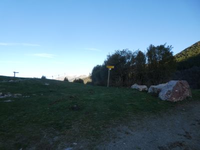 Collet Meians
