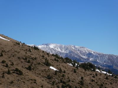Vue Rojà