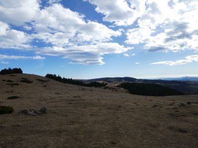 Croisement Portabella