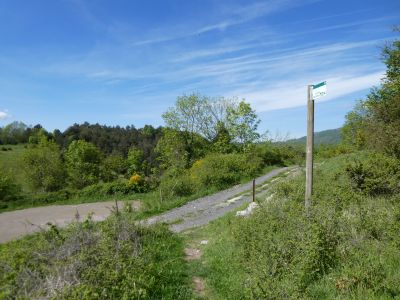 Croisement avant Brossa