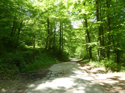 Croisement après Rovira 2