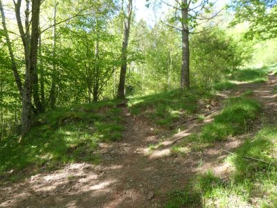 Croisement après Patllari