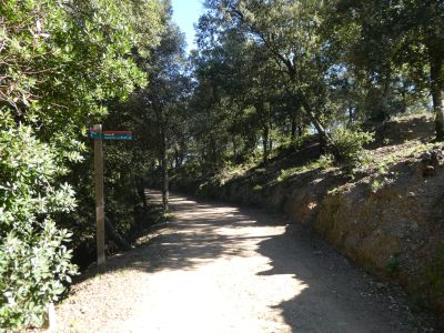 Croisement après Montsoriu