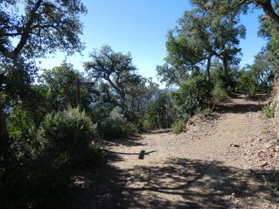 Croisement descente Bruixes 2