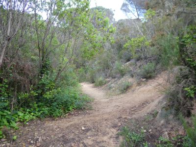 Croisement accès Gracia 5