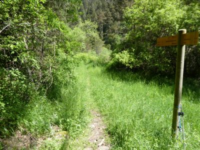 Croisement après Estacho