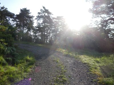 Croisement après Puyuelo