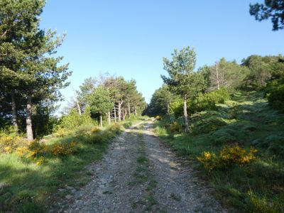Croisement raccourci antenne